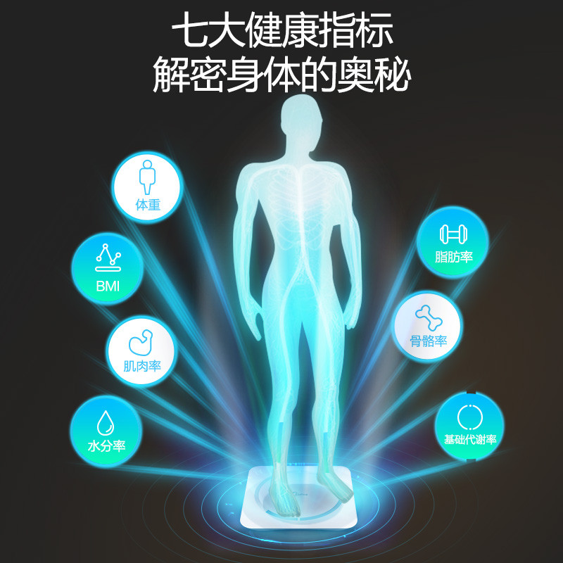 美的MW-S1家用体脂秤图片