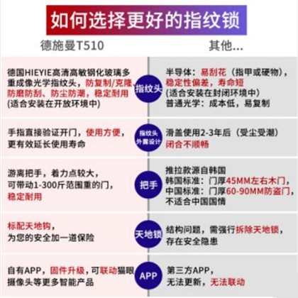 德施曼智能锁T510图片