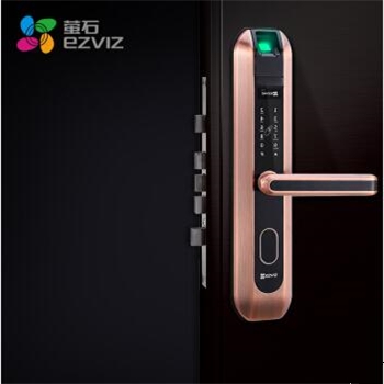 萤石智能锁DL2图片