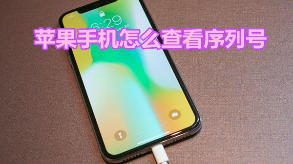 苹果手机怎么查看序列号