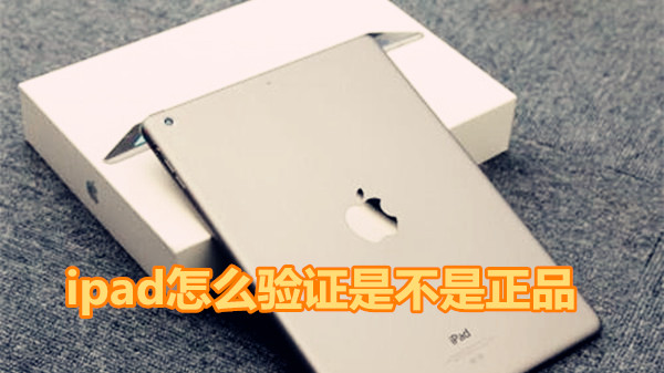 ipad怎么验证是不是正品