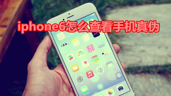 iphone6怎么查看手机真伪