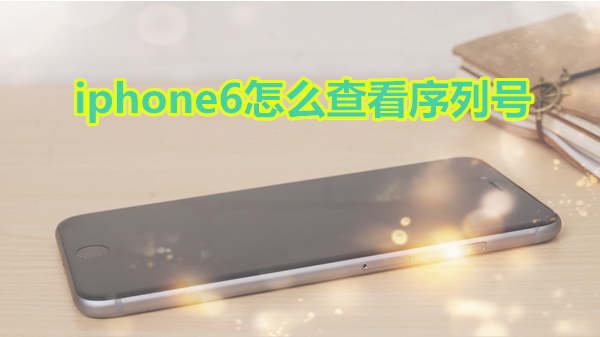 iphone6怎么查看序列号