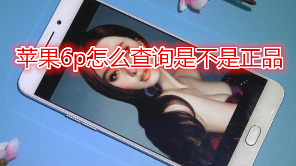 苹果6plus怎么查询是不是正品