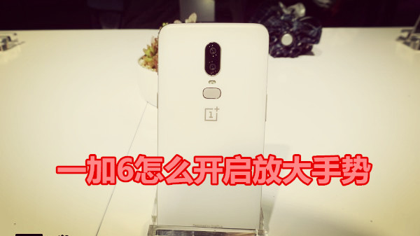 一加6怎么开启放大手势