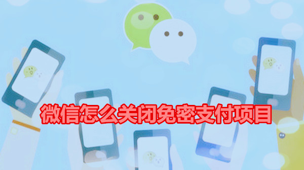 微信怎么关闭免密支付项目