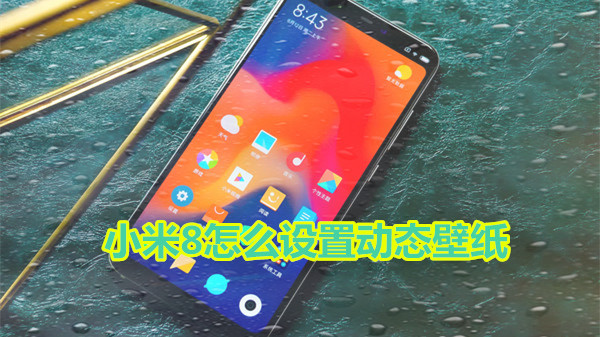 小米8怎么设置动态壁纸