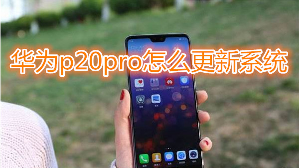 华为p20pro怎么更新系统