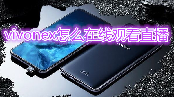 vivonex怎么在线观看直播