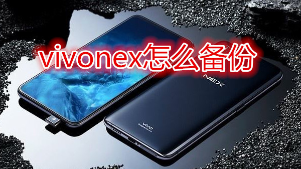 vivonex怎么备份