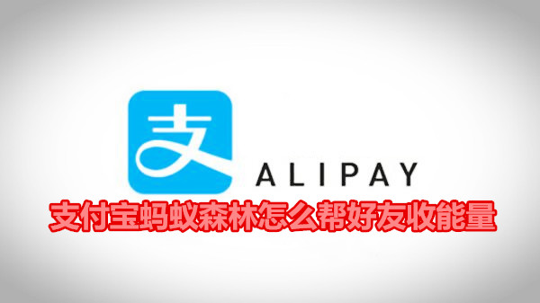 支付宝蚂蚁森林怎么帮好友收能量