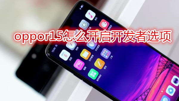 oppor15怎么开启开发者选项