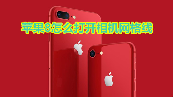 苹果8怎么打开相机网格线
