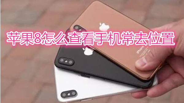 苹果8怎么查看手机常去位置