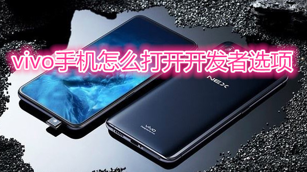 vivo手机怎么打开开发者选项
