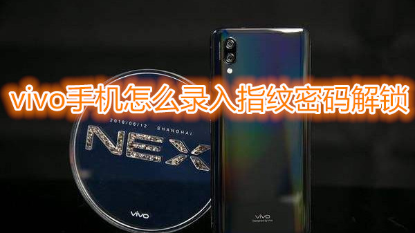 vivo手机怎么录入指纹密码解锁