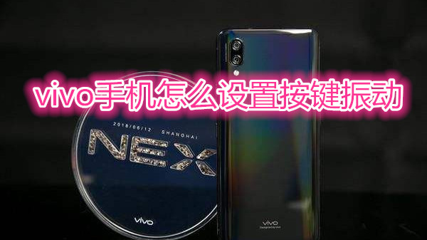 vivo手机怎么设置按键振动
