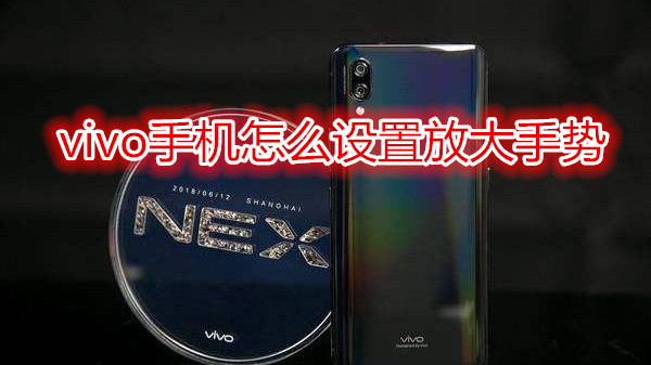 vivo手机怎么设置放大手势