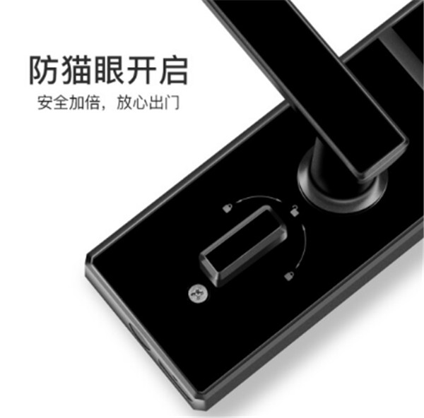 voc指纹锁X7图片