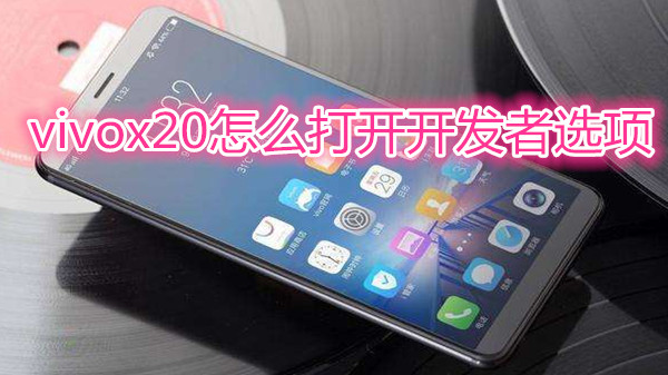 vivox20怎么打开开发者选项