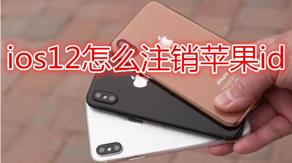 ios12怎么注销苹果id