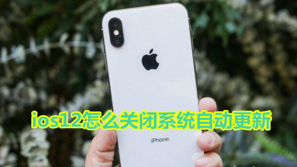ios12怎么关闭系统自动更新