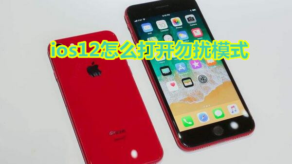 ios12怎么打开勿扰模式