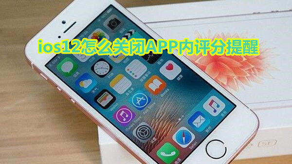 ios12怎么关闭app内评分提醒