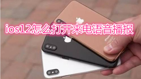ios12怎么打开来电语音播报
