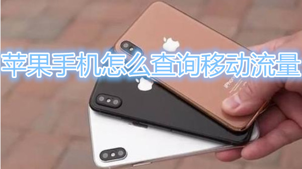 苹果手机怎么查询移动流量