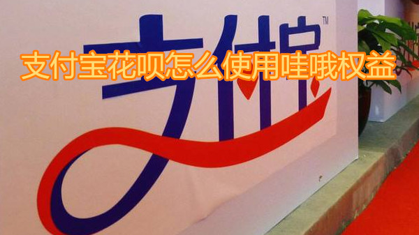 支付宝花呗怎么使用挖哦权益