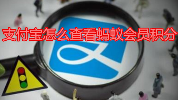 支付宝怎么查看蚂蚁会员积分