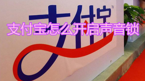 支付宝怎么开启声音锁