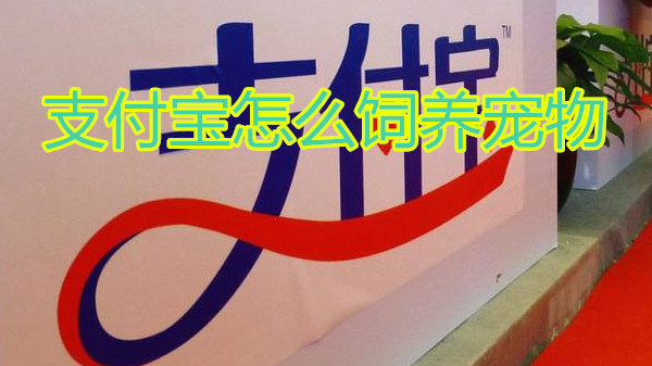 支付宝怎么饲养宠物