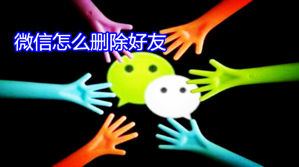 微信怎么删除好友