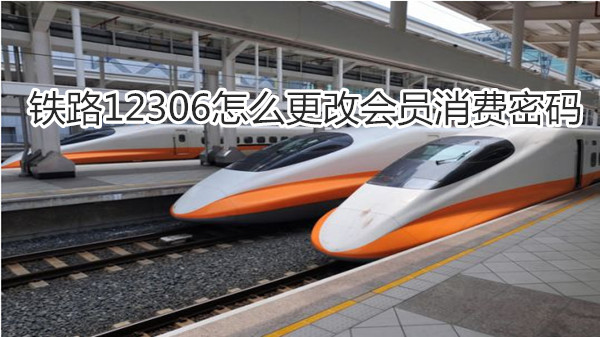 铁路12306怎么更改会员消费密码