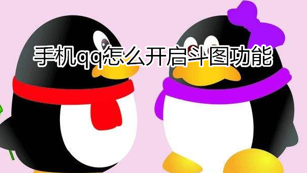 手机qq怎么开启斗图功能