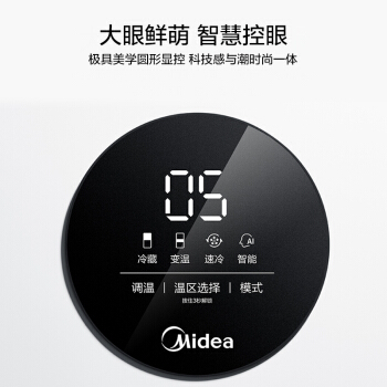 美的BCD-230WTPZM(E冰箱图片