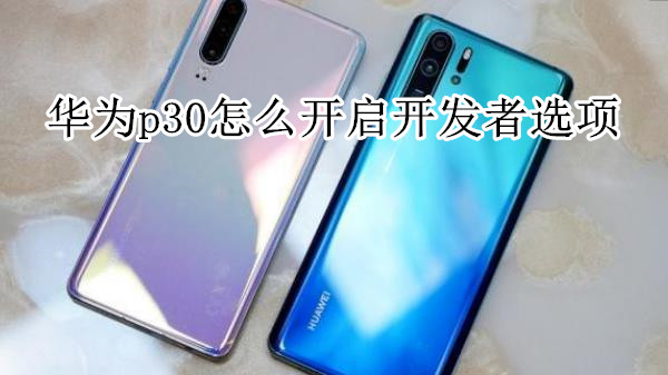 华为p30怎么开启开发者选项
