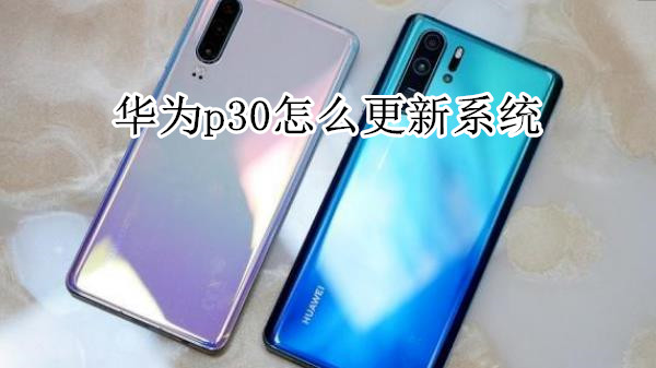 华为p30怎么更新系统