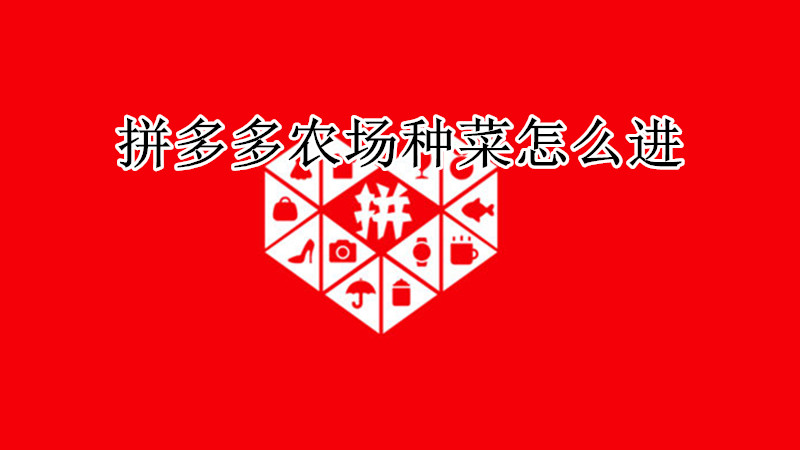 拼多多农场种菜怎么进