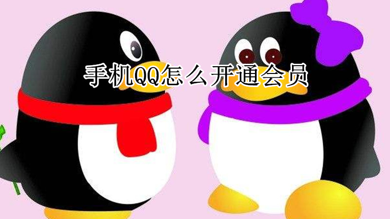 手机qq怎么开通会员