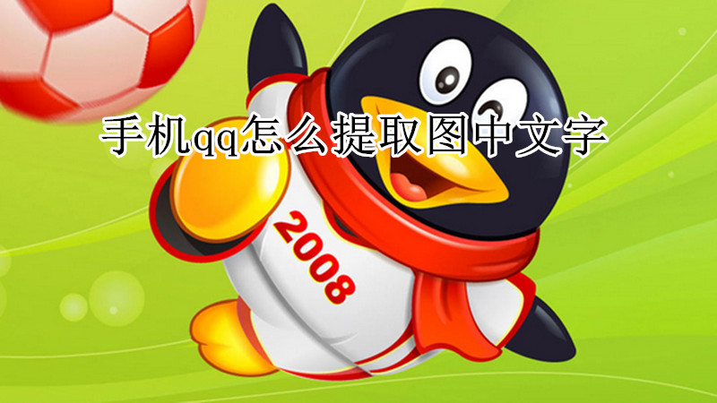 手机qq怎么提取图中文字