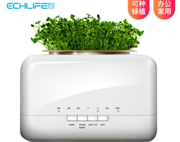 可种植的净化器——观赏净化两不误