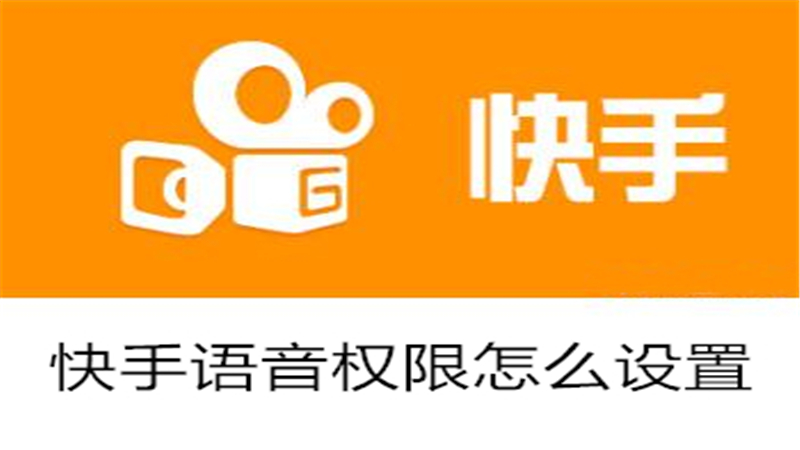 快手语音权限怎么设置