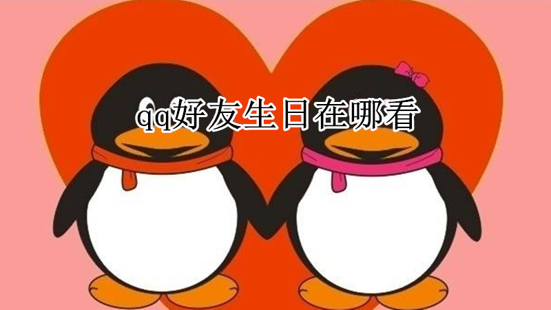 qq好友生日在哪看