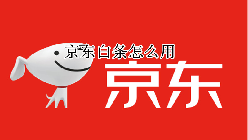 京东白条怎么用