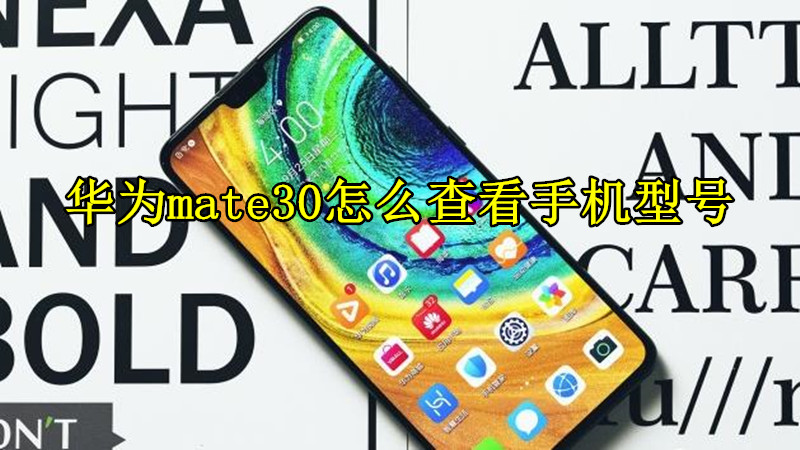 华为mate30怎么查看手机型号