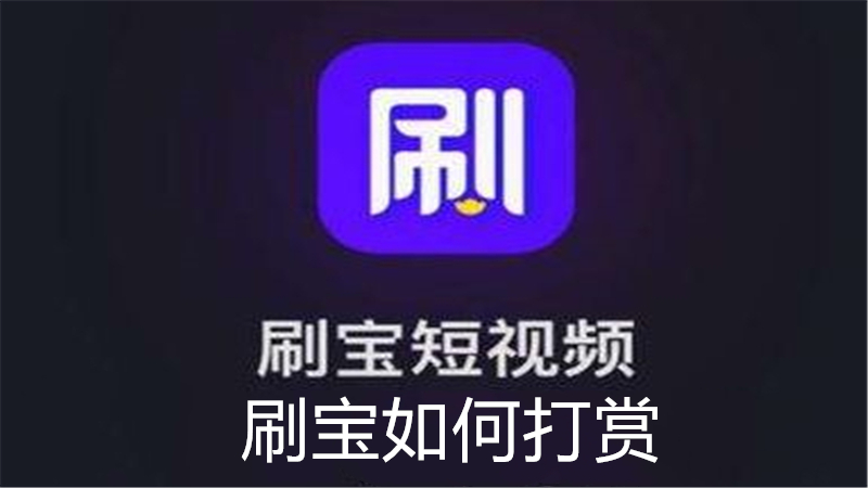 刷宝如何打赏