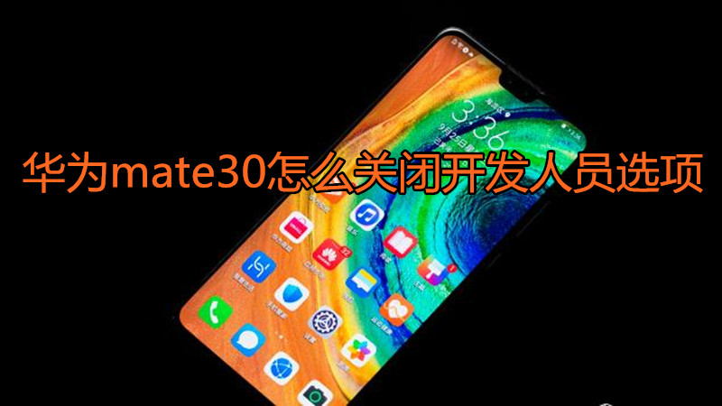华为mate30怎么关闭开发人员选项
